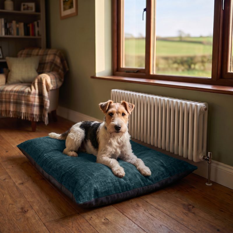 Meridian Pet Bed - Medium